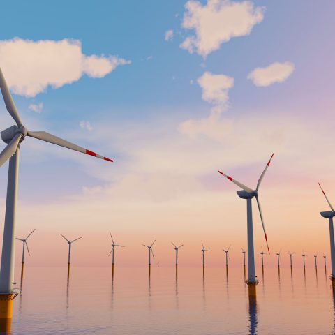 Éolien en mer, l’émergence d’une technologie déjà incontournable